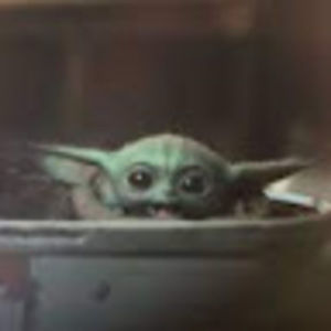 Meet your Posher, Riley